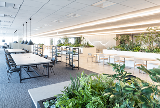 F3rdX Uvance Kawasaki_写真03